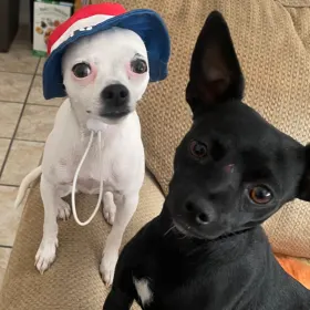 Ava and Ellie